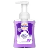 Sagrotan Samt Schaum Sanfte Schaumseife Vanille & Orchidee 5