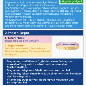 Doppelherz Aktiv Magnesium 500 + B12 2-Phasen Depot 12
