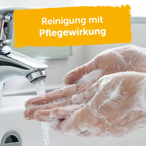 Alterra NATURKOSMETIK Premium Pflegeseife Sanddornöl 3